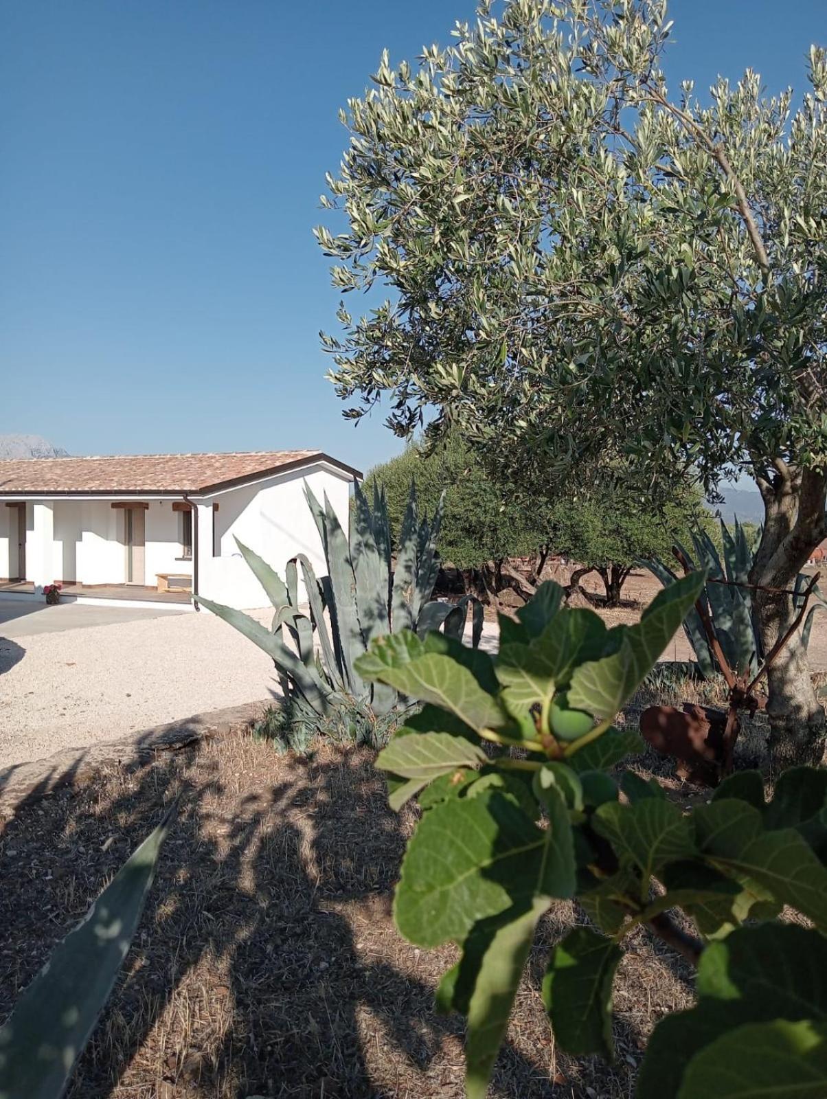 Agriturismo Sa Murta Доргали Экстерьер фото