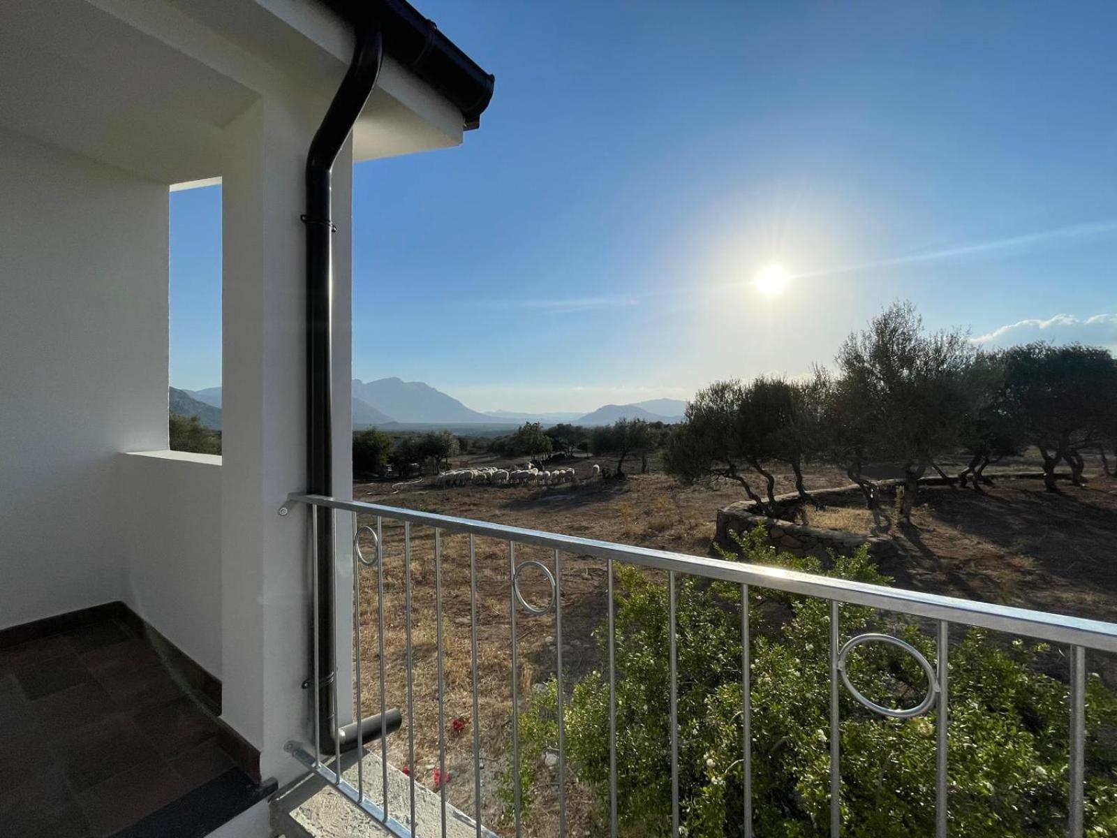Agriturismo Sa Murta Доргали Экстерьер фото