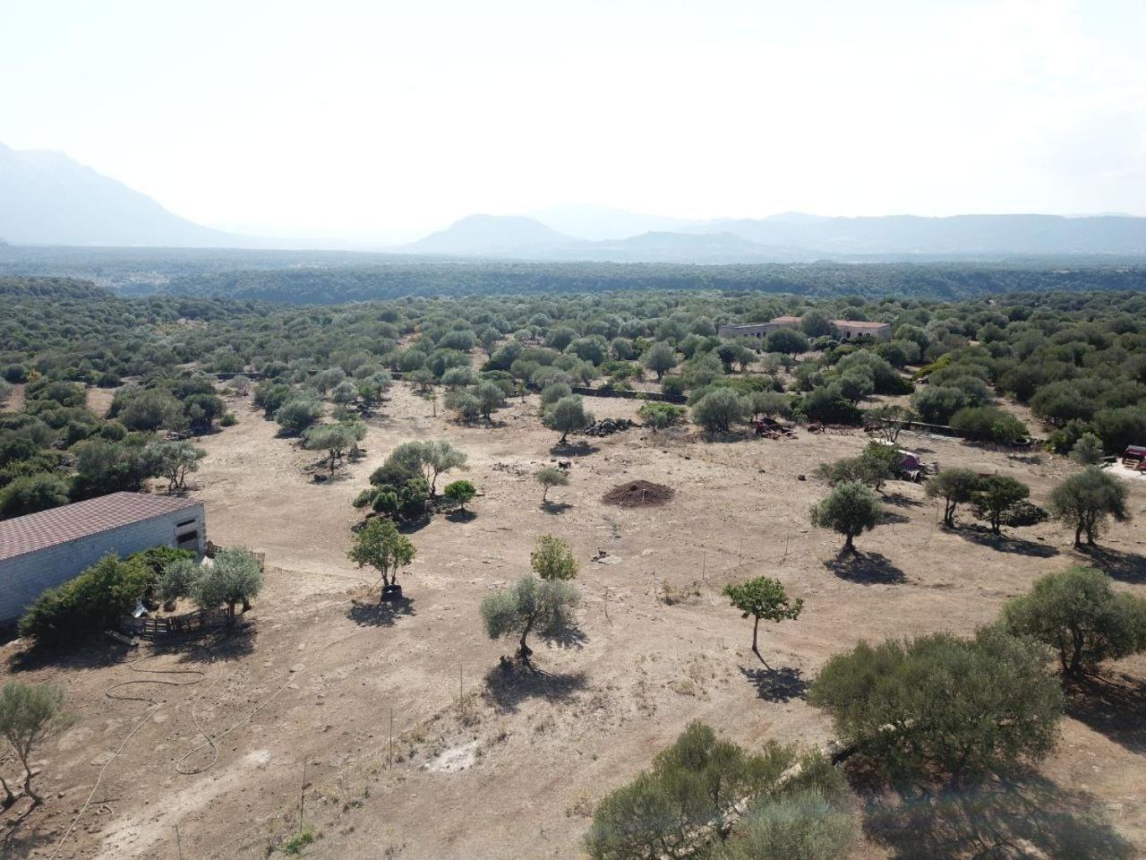 Agriturismo Sa Murta Доргали Экстерьер фото