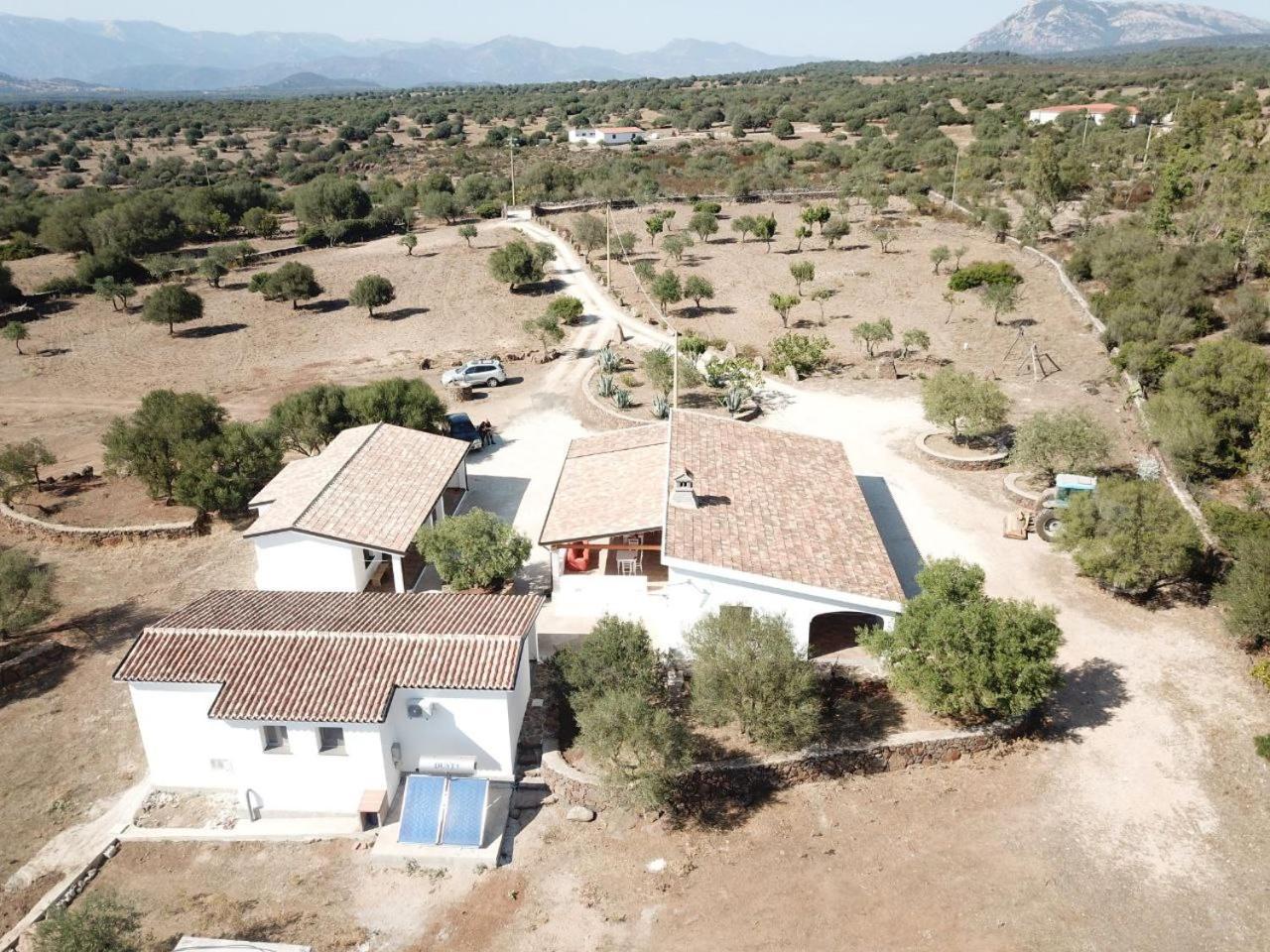 Agriturismo Sa Murta Доргали Экстерьер фото
