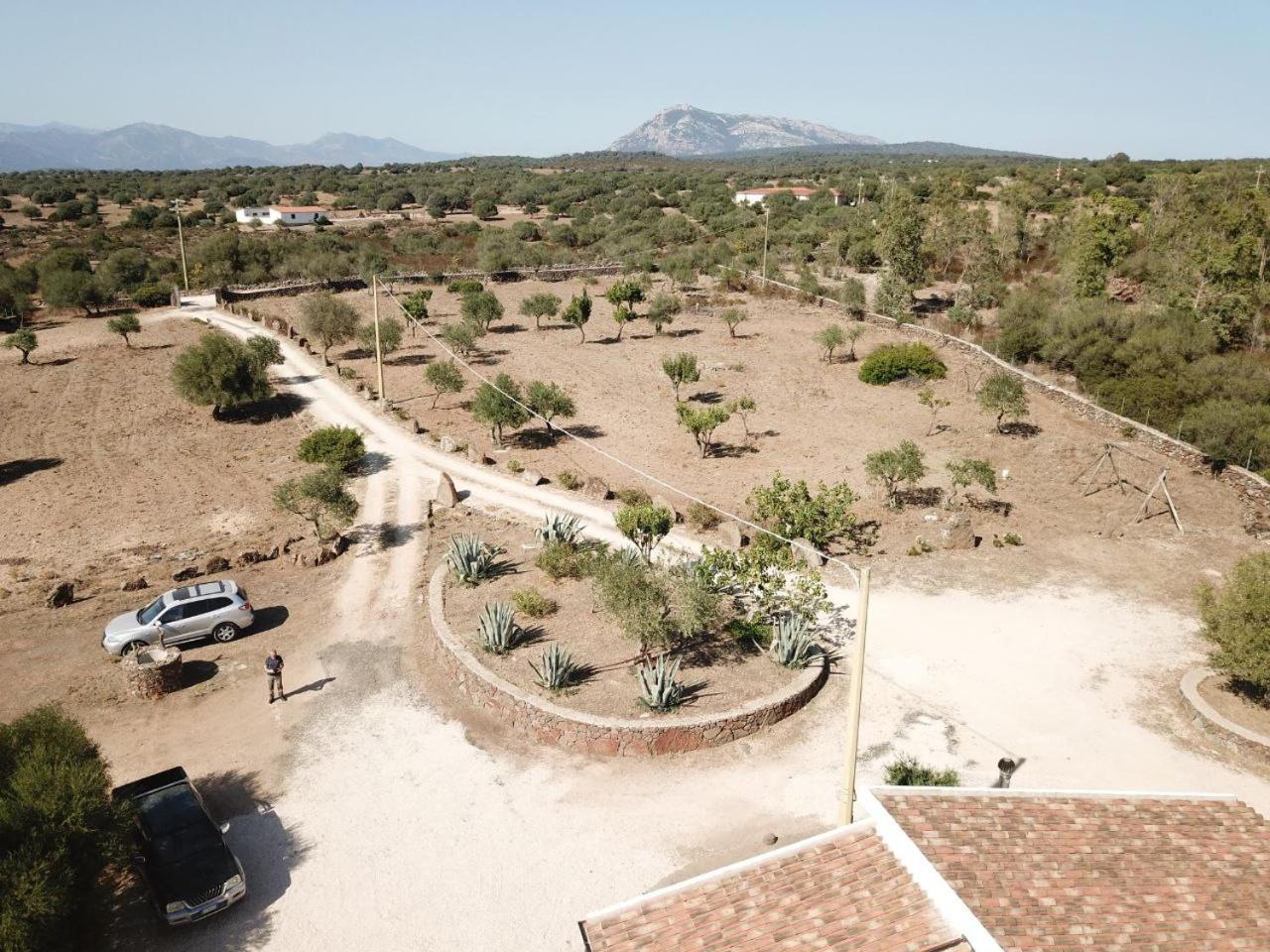 Agriturismo Sa Murta Доргали Экстерьер фото