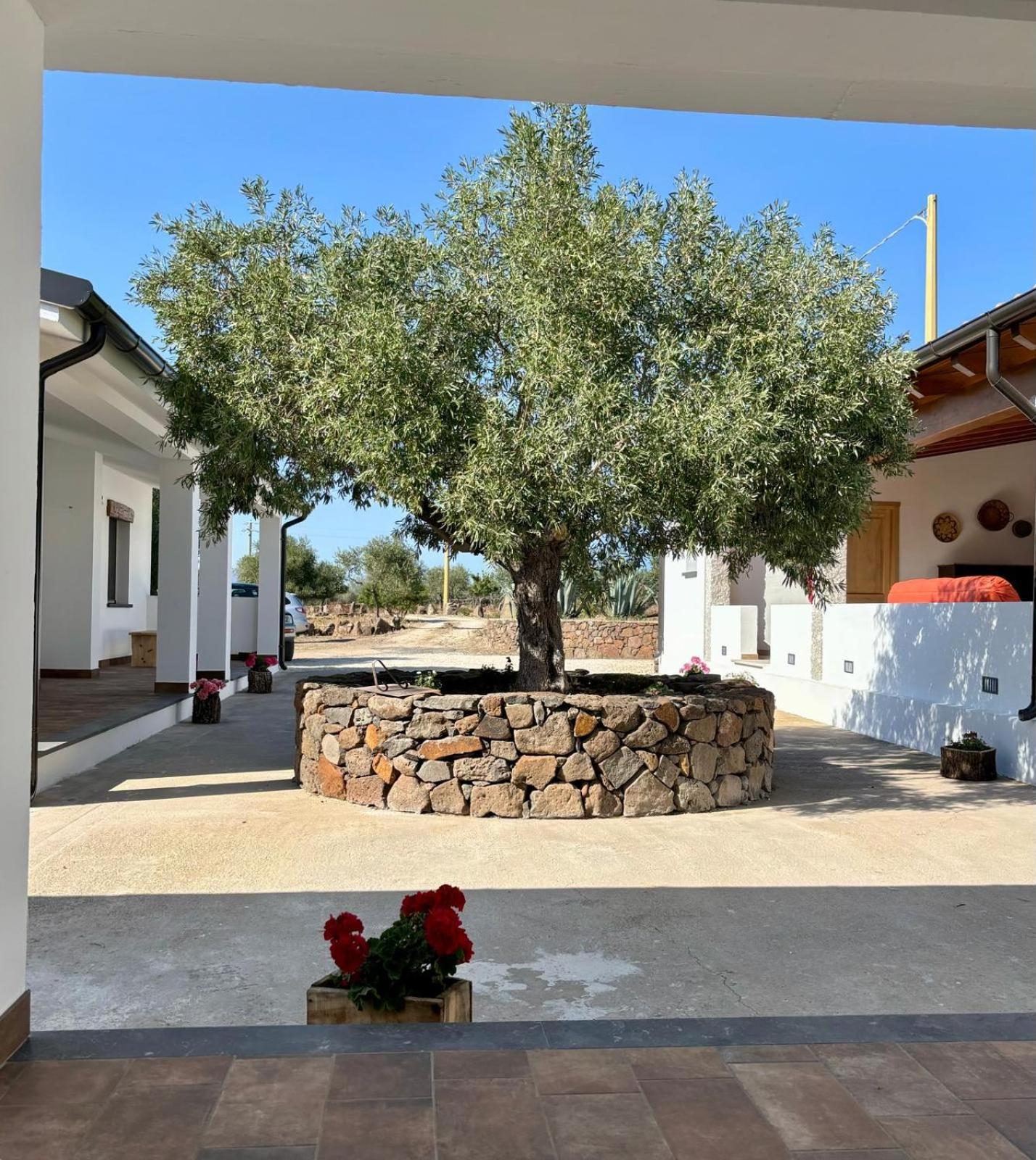 Agriturismo Sa Murta Доргали Экстерьер фото
