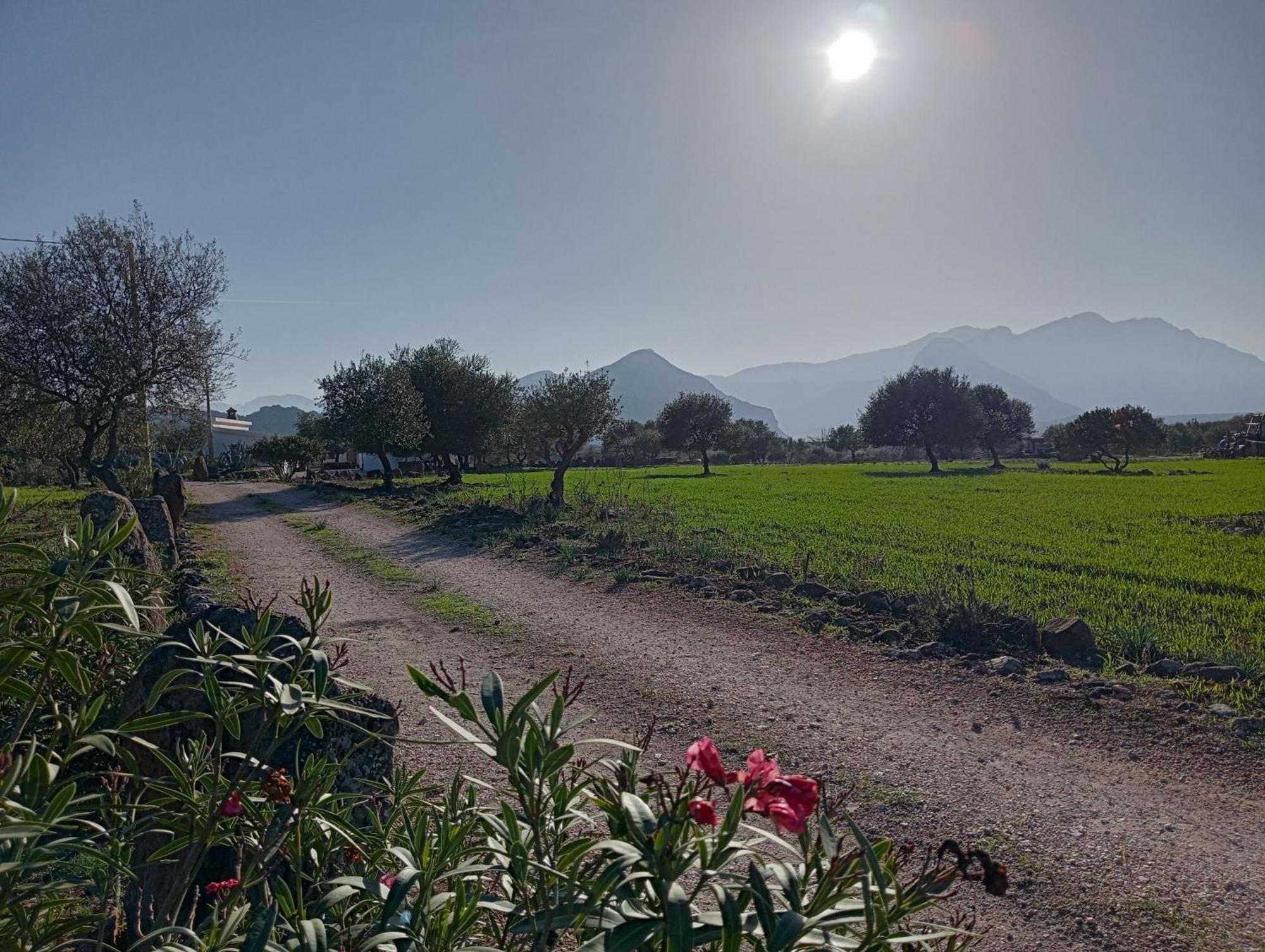 Agriturismo Sa Murta Доргали Экстерьер фото