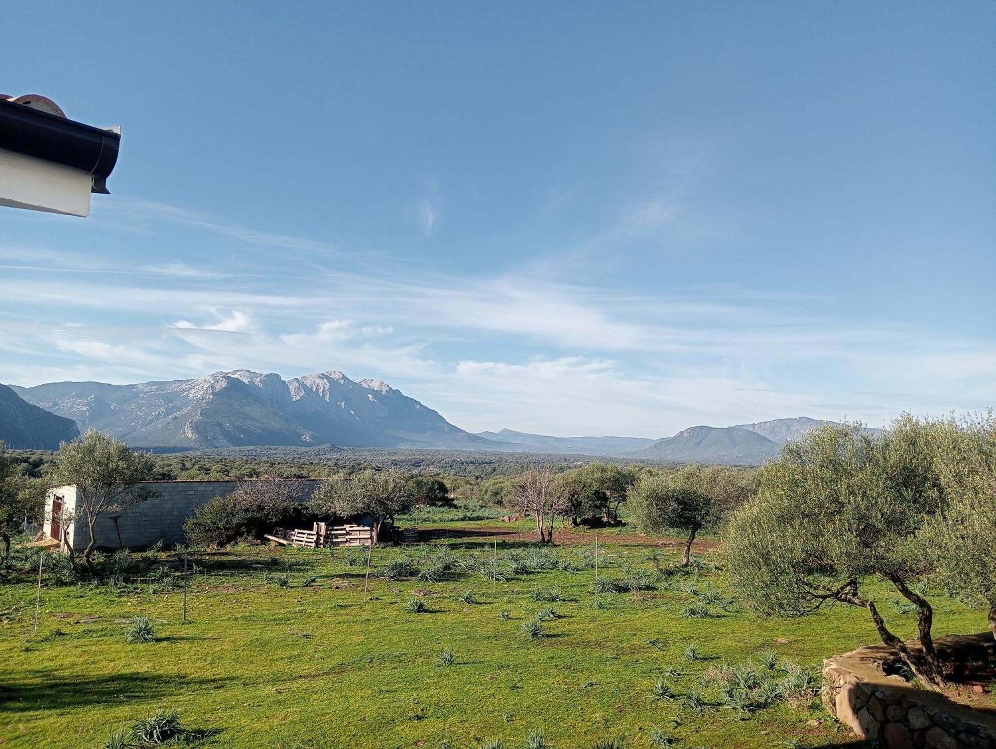 Agriturismo Sa Murta Доргали Экстерьер фото