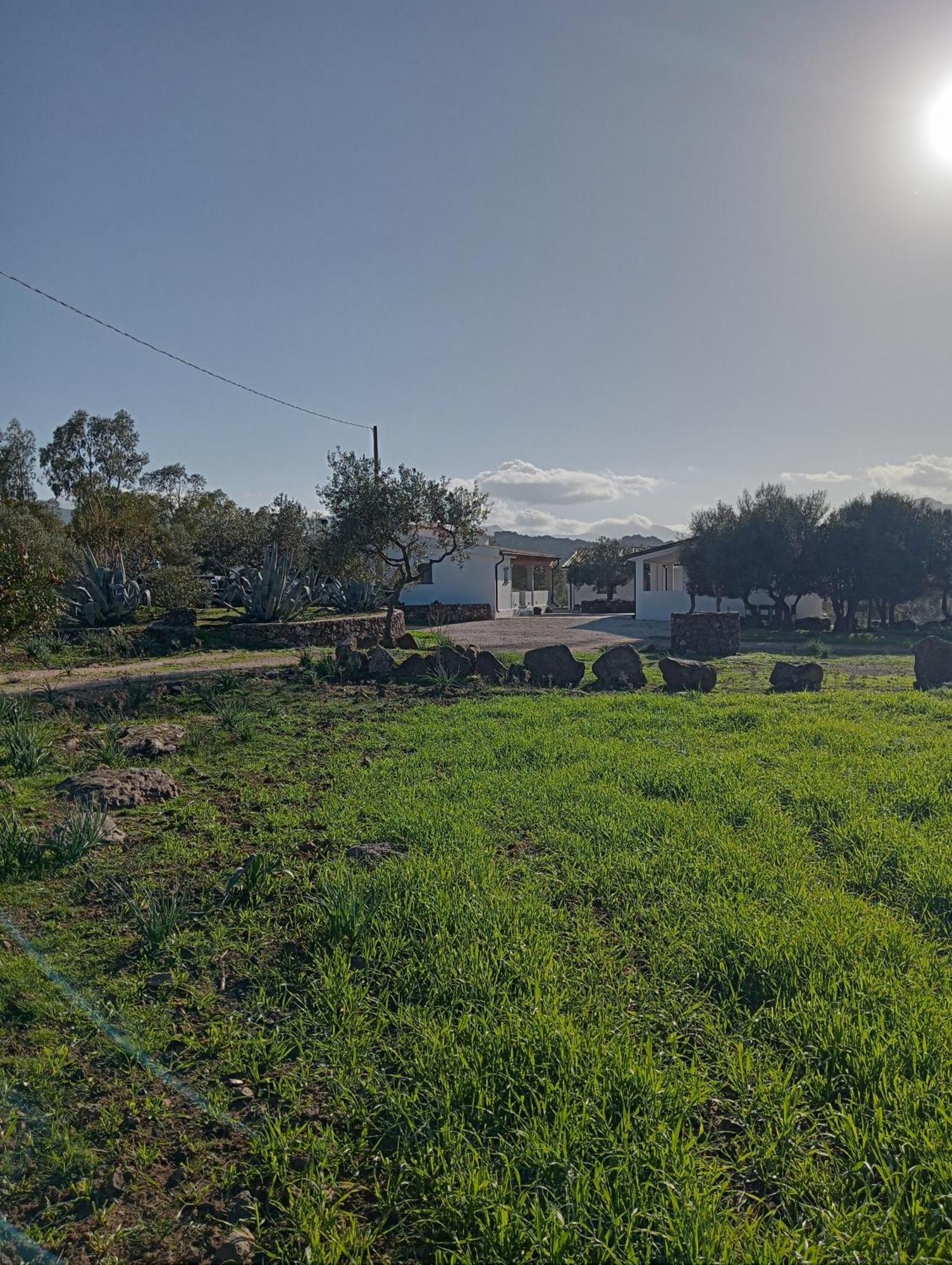 Agriturismo Sa Murta Доргали Экстерьер фото